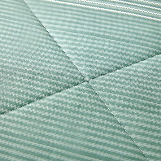 罗莱 TG 翠林韵律全棉安芯夏被 商品图3