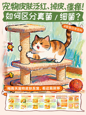 小知识14-宠物皮肤出现这种情况🤔如何区分真菌/细菌❓