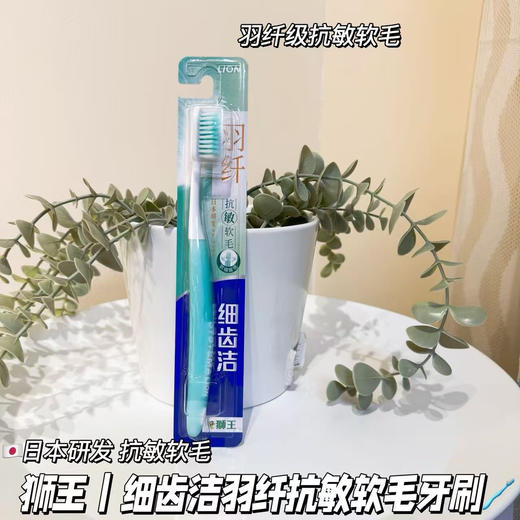 【满三组包邮】日本 狮王牙刷 细齿洁  精巧 护龈 净齿 抗敏牙刷 商品图4