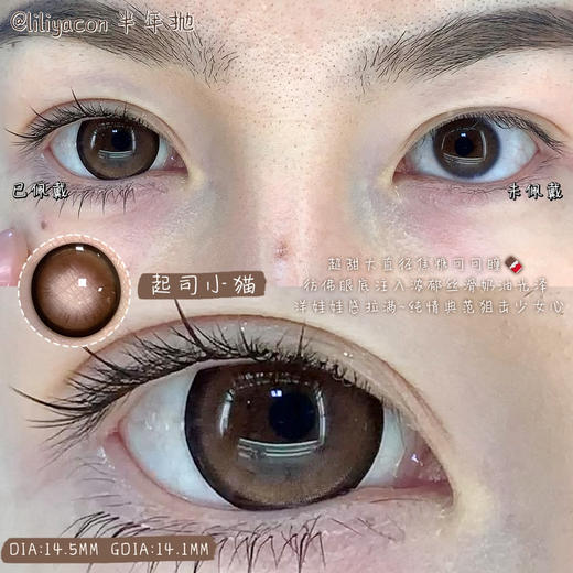 日抛 liliyacon 起司小猫 14.5 着色14.1【6片装】 商品图1