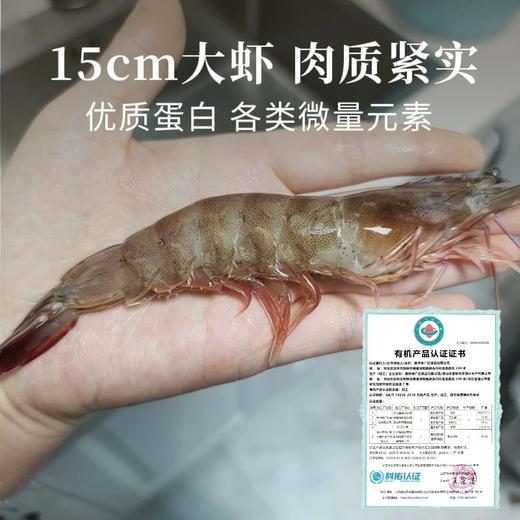 顺丰包邮，4盒送1盒到手5盒，渤海湾有机生冻盐田虾1年只有1季，一盒一码可溯源 活虾速冻 肉质弹甜 只需要白灼就非常好吃 顺丰基地直邮 商品图6