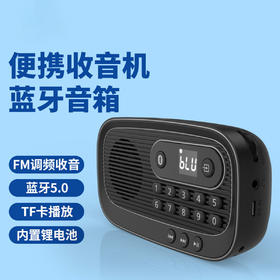 飞利浦（PHILIPS）便携多功能收音机蓝牙音箱 FM调频TF卡播放数字选曲 老人户外陪伴半导体新闻评书音箱 TAR1100