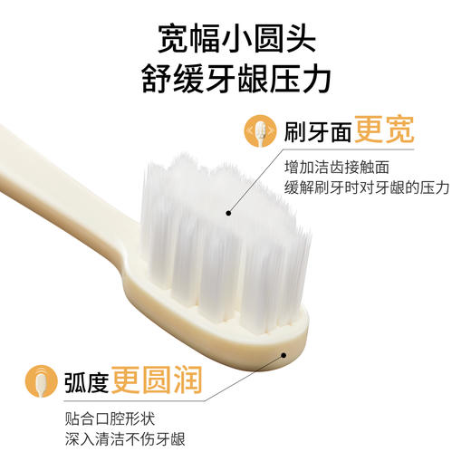 【软毛牙刷】宽幅刷头 细密柔丝 深入洁齿 柔丝软毛护齿牙刷2支装 商品图4