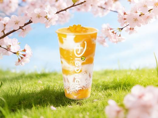 椰椰芒芒 商品图0