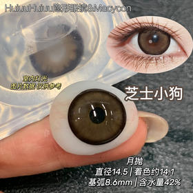 新品月抛大直径-Macycon-可爱比熊-萌萌贵宾-芝士小狗-14.5mm【月抛 0-800度 不含525/575】