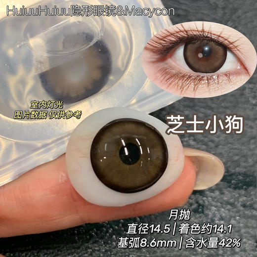 新品月抛大直径-Macycon-可爱比熊-萌萌贵宾-芝士小狗-14.5mm【月抛 0-800度 不含525/575】 商品图0