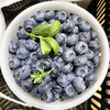 L25蓝莓18+（桶装）1.2kg 商品缩略图0