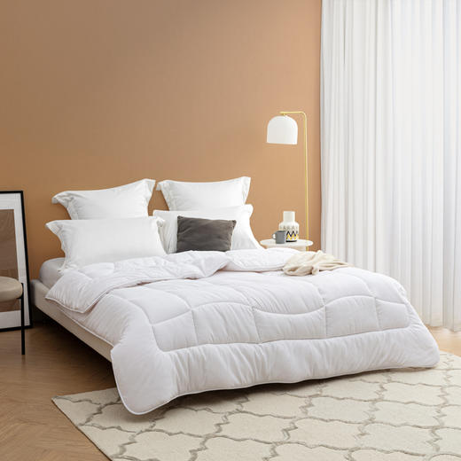 LOVO TG LOVO 甄·悦 暖姜黑科技丝柔抗菌春秋被HX 商品图0