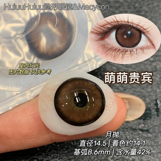 新品月抛大直径-Macycon-可爱比熊-萌萌贵宾-芝士小狗-14.5mm【月抛 0-800度 不含525/575】 商品图9