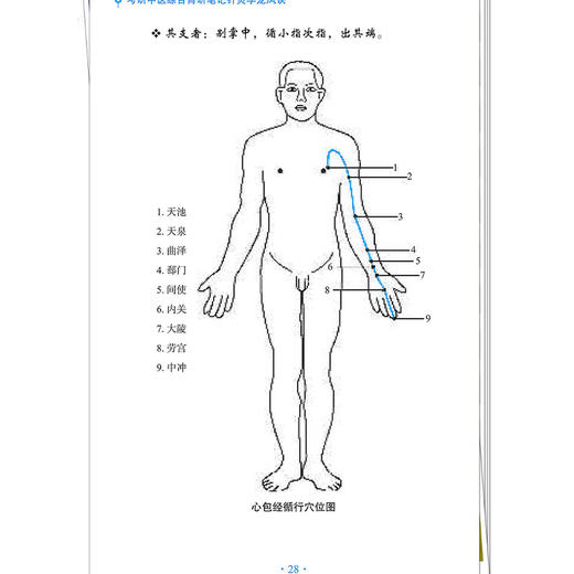 针灸学龙凤诀 李杰 张林峰 考研中医综合青研笔记丛书 2027考研中医综合青研笔记 结合最新考纲 9787524702306中国中医药出版社 商品图4