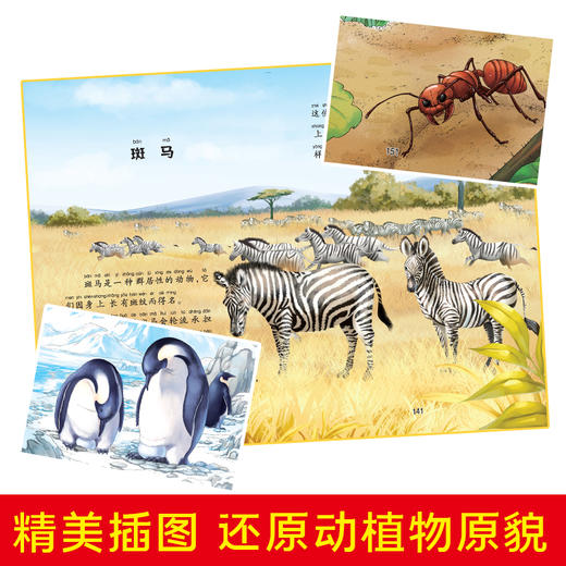 【畅销100万册】中国少年儿童百科全书探索卷+求知卷2册彩图注音 商品图1