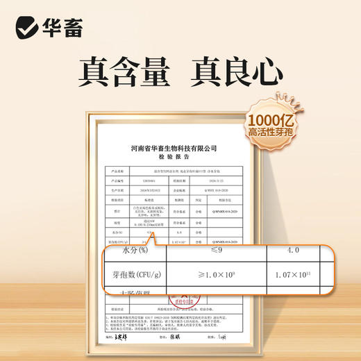 【社群专享】华畜千亿净水芽孢 分解残饵粪便 降氨氮亚盐 处理水草挂脏 控制青苔蓝藻 商品图4