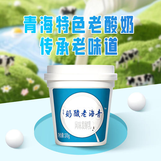 【顺丰包邮】光明&小西牛 青海特色老酸奶益生菌风味发酵乳低温桶装酸奶370g*3桶/6桶 商品图3