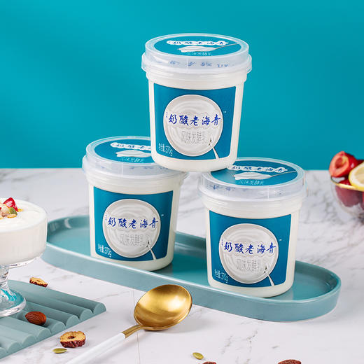 【顺丰包邮】光明&小西牛 青海特色老酸奶益生菌风味发酵乳低温桶装酸奶370g*3桶/6桶 商品图8