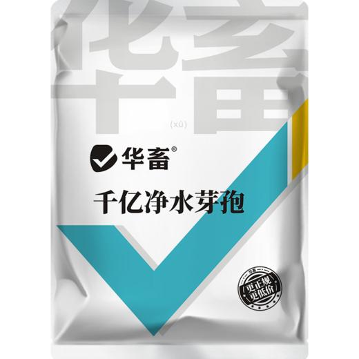 【社群专享】华畜千亿净水芽孢 分解残饵粪便 降氨氮亚盐 处理水草挂脏 控制青苔蓝藻 商品图6