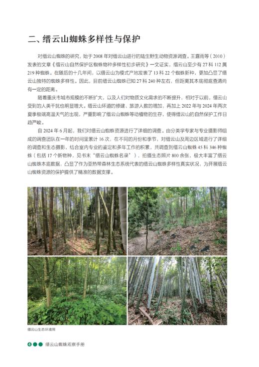 缙云山蜘蛛观察手册 商品图4