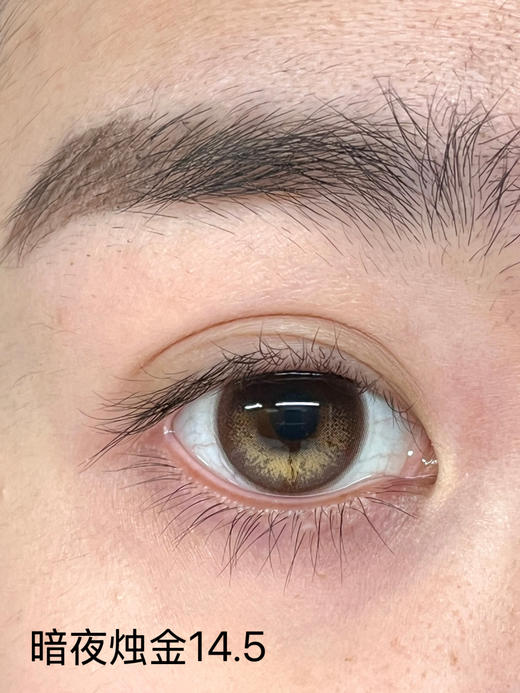 liliyacon 日抛合集 定轴款式 大直径 商品图3