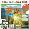 【新版】新教材里的百科常识1-6年级 商品缩略图3
