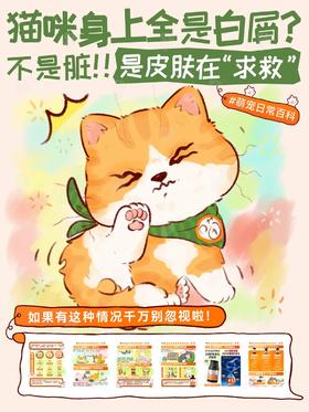 猫咪身上全是白屑🙀不是脏⚠️是皮肤在求救‼️