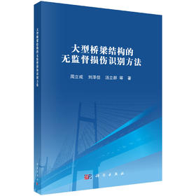 大型桥梁结构的无监督损伤识别方法 周立成 9787030850706