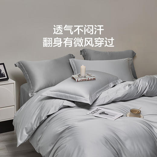 LOVO乐蜗 帕克里 床品四件套（床笠款） 商品图5