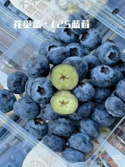 云南花香脆星空蓝莓 脆甜好吃18+ 商品图2