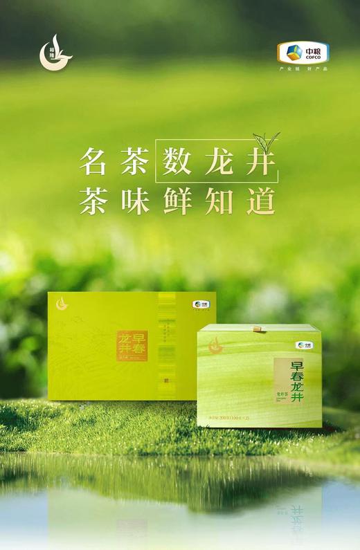 中茶龙冠龙井|2025龙冠龙井，龙井之冠，龙（隆）重上市啦~ 这个春天从一杯龙冠龙井开始 ~ 商品图0