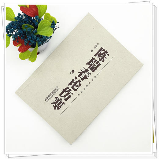 陈瑞春论伤寒 陈瑞春 著（陈瑞春医书三种）中国中医药出版社 伤寒论 临床医案 书籍 商品图1