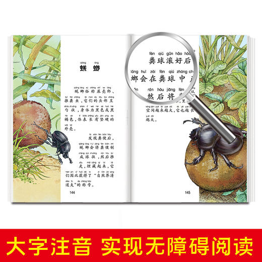 【畅销100万册】中国少年儿童百科全书探索卷+求知卷2册彩图注音 商品图2