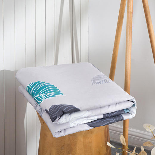 罗莱 TG 全棉水洗蚕丝夏被新一代 商品图1