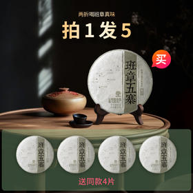 【超值福利】2025年班章五寨100g生饼一整盒五片