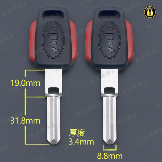 〖B536〗带孔雅迪诺 商品图0