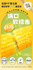 北纬47度黄糯玉米240g*8支装  JCT 商品缩略图5