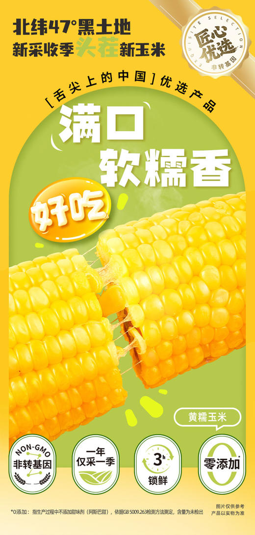 北纬47度黄糯玉米240g*8支装  JCT 商品图5