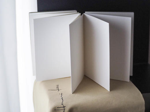 【新品现货】黑塞《德米安》封面复刻布面盖章本 / 护书袋 周边文创 笔记本 商品图6