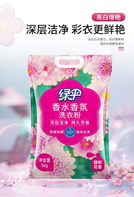绿伞洗衣粉持久留香洗衣粉深层洁净衣物馥郁花香除菌除螨 商品图0