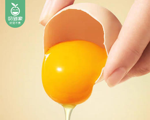 姥家来叶黄素鸡蛋/1盒（12枚，约500g）生产日期：4月12日左右 商品图3