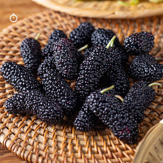 15天内发 企鹅市集|大凉山阳光果桑 四拼蜜桃果桑/紫晶果桑/金香果桑/传统果桑 独家品种桑葚 树上自然熟 甜蜜柔嫩风味十足 商品图7