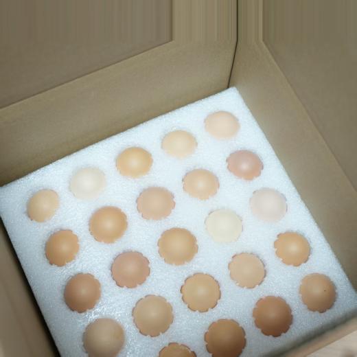 【3箱 送 2瓶酱油】长白山原始森林散养笨鸡蛋 一箱50个 商品图3
