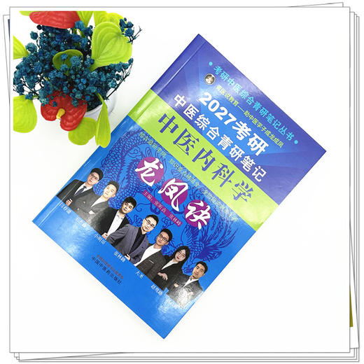 2027年（中医内科学）龙凤诀考研中医综合青研笔记 张昕垚 张林峰 主编 考研中医综合青研笔记丛书 中国中医药出版社 商品图1