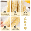 【斌哥优选】西双版纳拇指小玉米，非转基因0农残，细嫩可口，甜香可人，减脂期的好搭档低卡碱性食物，小朋友早餐超爱 商品缩略图2