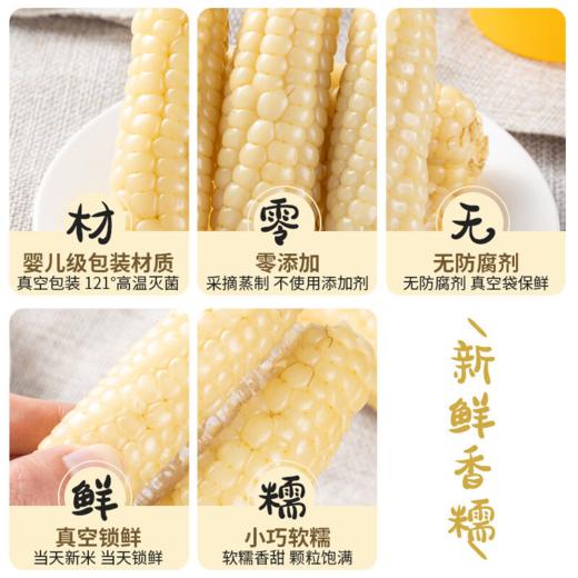 【斌哥优选】西双版纳拇指小玉米，非转基因0农残，细嫩可口，甜香可人，减脂期的好搭档低卡碱性食物，小朋友早餐超爱 商品图2