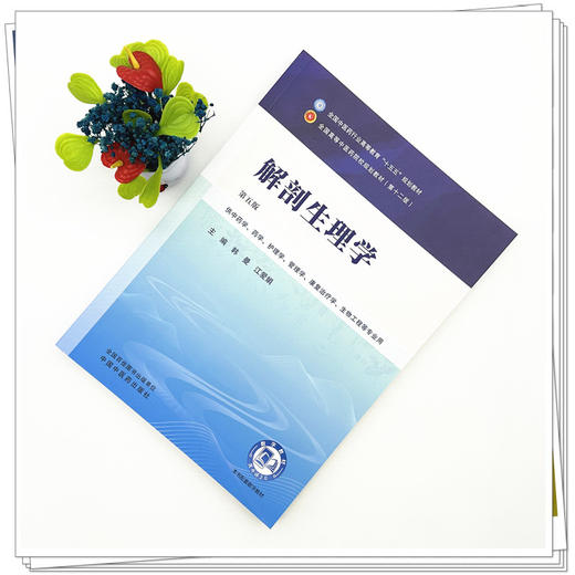 解剖生理学 韩曼 江爱娟 主编（第五版）全国中医药行业高等教育十五五第十二版规划教材 中国中医药出版社 商品图1