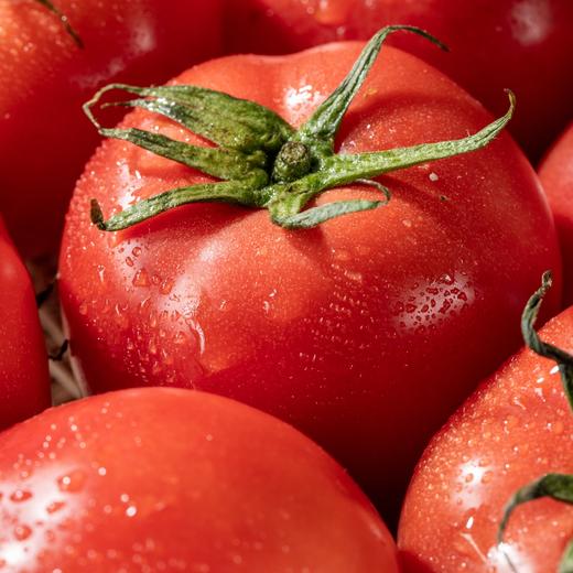 普罗旺斯西红柿|沙瓤多汁，生吃也超清甜，一口吃到儿时味！|番茄 商品图4