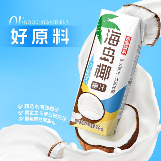 【欢聚专享】东鹏海岛椰椰汁250ml*24盒整箱植物蛋白饮料  生榨鲜椰浆 商品图2