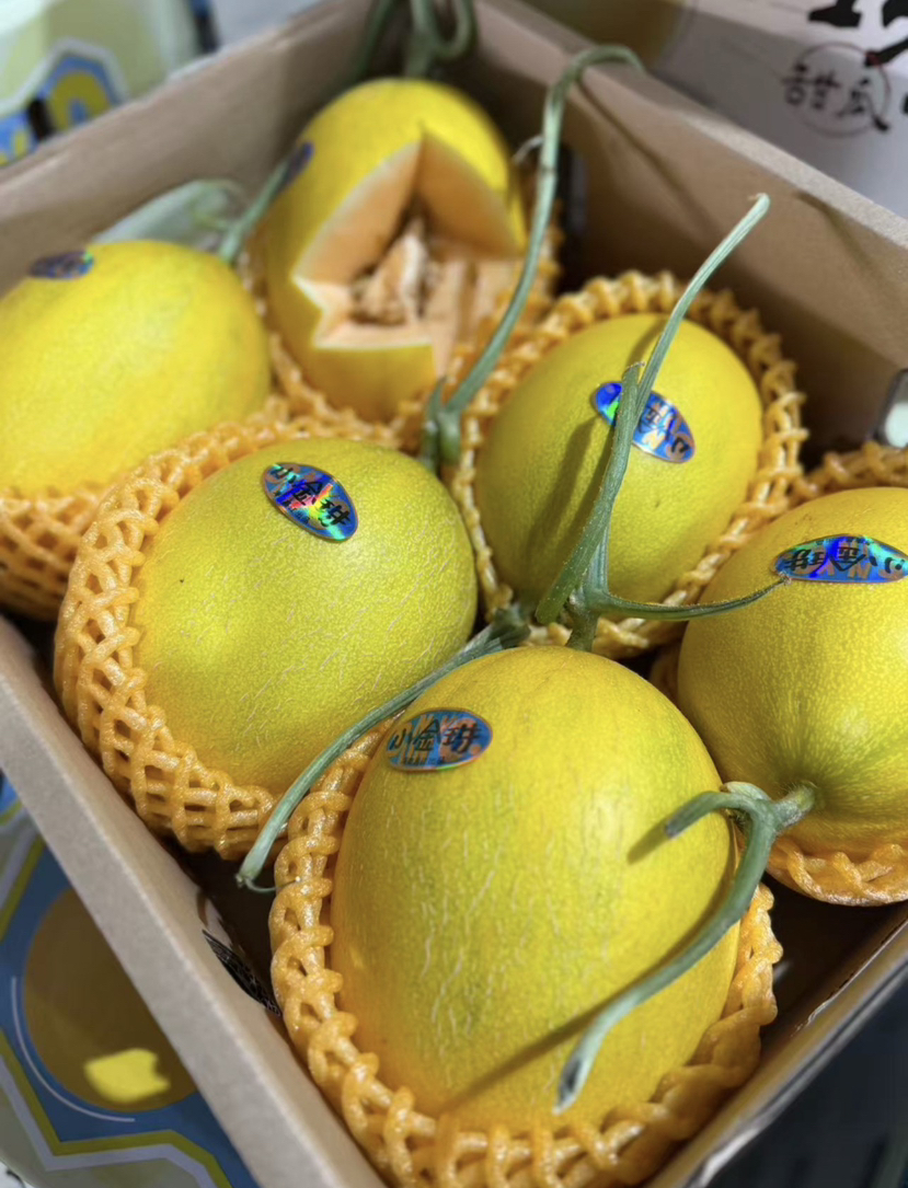 小金珠甜瓜（单个2斤左右）