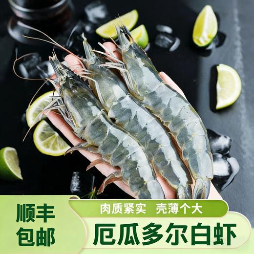 【顺丰直发！！】厄瓜多尔白虾，来自南美海域的海虾，肉质鲜美，Q弹紧实，清水煮都好吃 商品图0