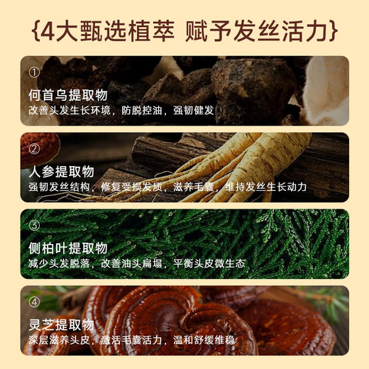 自然而然草本育发固发保健液育发养发保健膏全面升级4.0(健字号) 商品图5