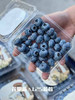 云南花香脆星空蓝莓 脆甜好吃18+ 商品缩略图3