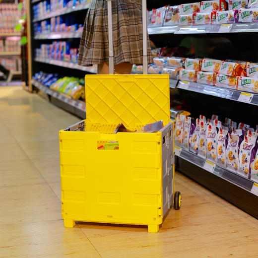 自营（北京董礼）-汉乐美途折叠拉杆置物箱HL-1201展开尺寸：42*33.5*（37-90）CM 商品图2